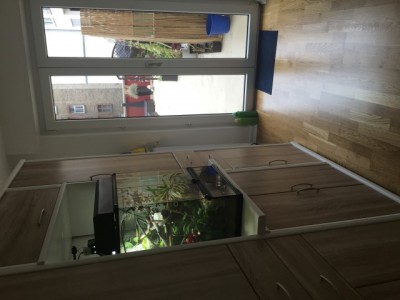 IMG_8303 (Small).JPG