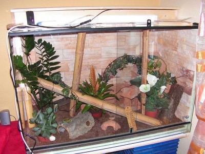 Terrarium 009.jpg