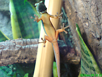 DSC01908neu.jpg