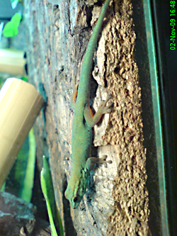 DSC01901neu.jpg