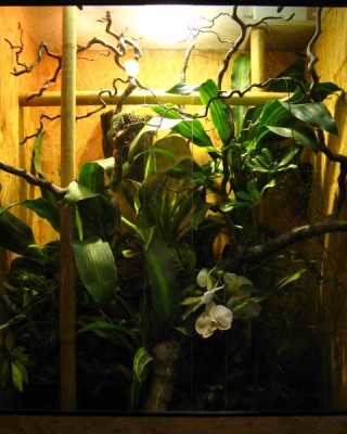 terrarium1.jpg