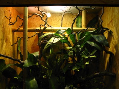 terrarium2.JPG